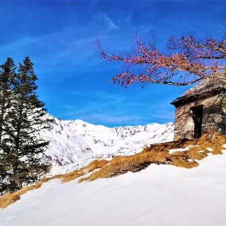 Seppenbauer - Seppenbauerhof