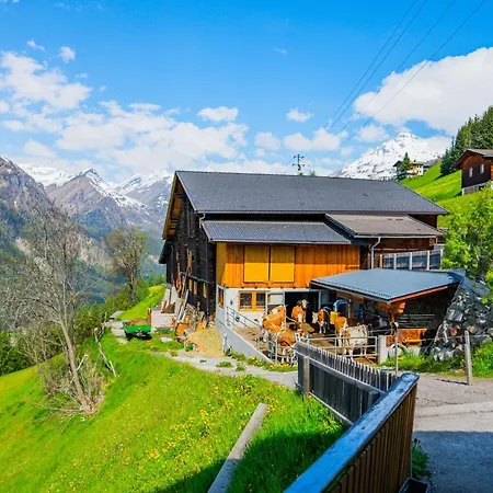 Apartment Seppenbauerhof Heiligenblut am Großglockner
