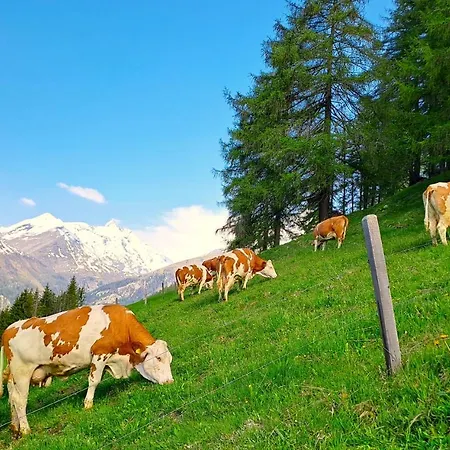 Apartamento Seppenbauer - Seppenbauerhof *