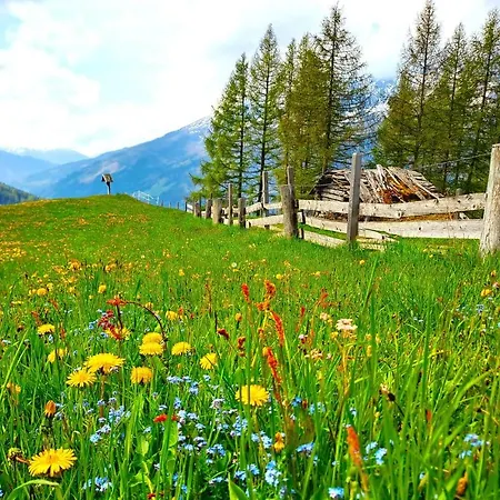 Seppenbauer - Seppenbauerhof * Heiligenblut