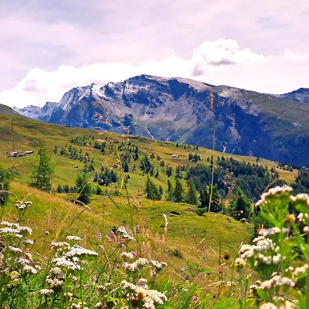 Apartamento Seppenbauer - Seppenbauerhof