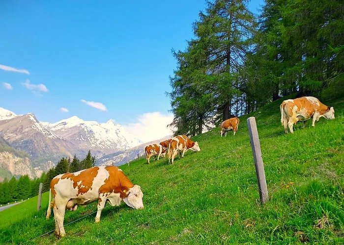 דירה Seppenbauer - Seppenbauerhof *