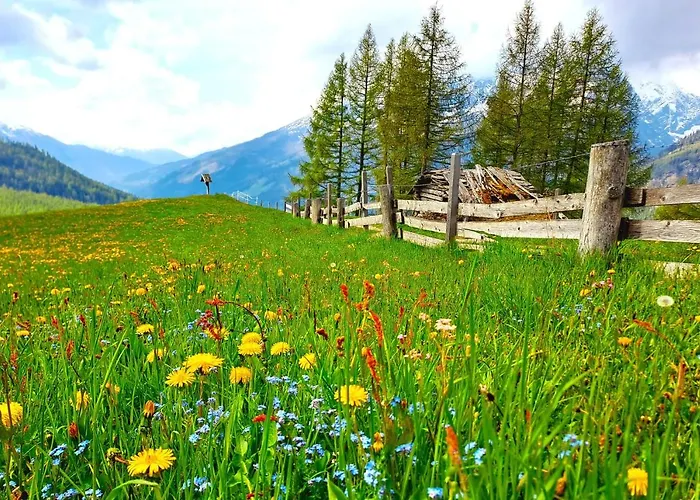 Seppenbauer - Seppenbauerhof * היליגנבלוט
