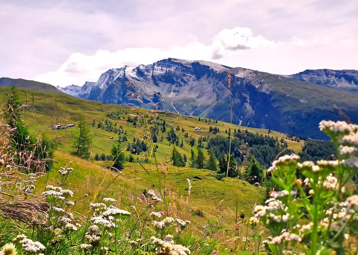 דירה Seppenbauer - Seppenbauerhof