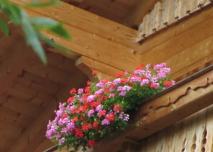 Apartamento Seppenbauer - Seppenbauerhof Heiligenblut