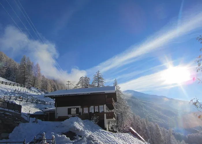 Seppenbauer - Seppenbauerhof